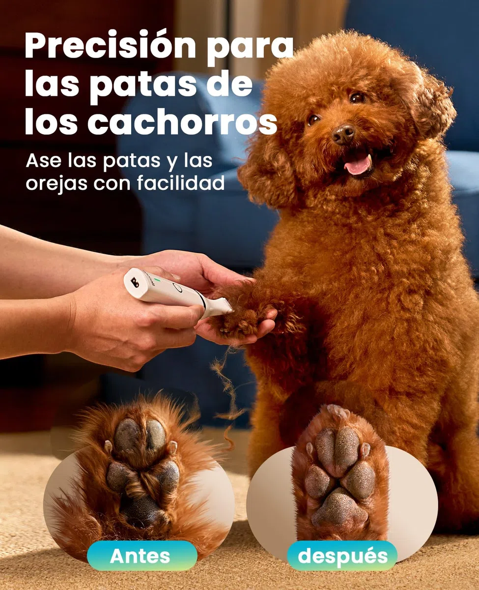 oneisall Cortapelos para perros bajo nivel de ruido para recortar el pelo de perro alrededor de las patas, los ojos, las orejas, la cara y el rump (Blanco)