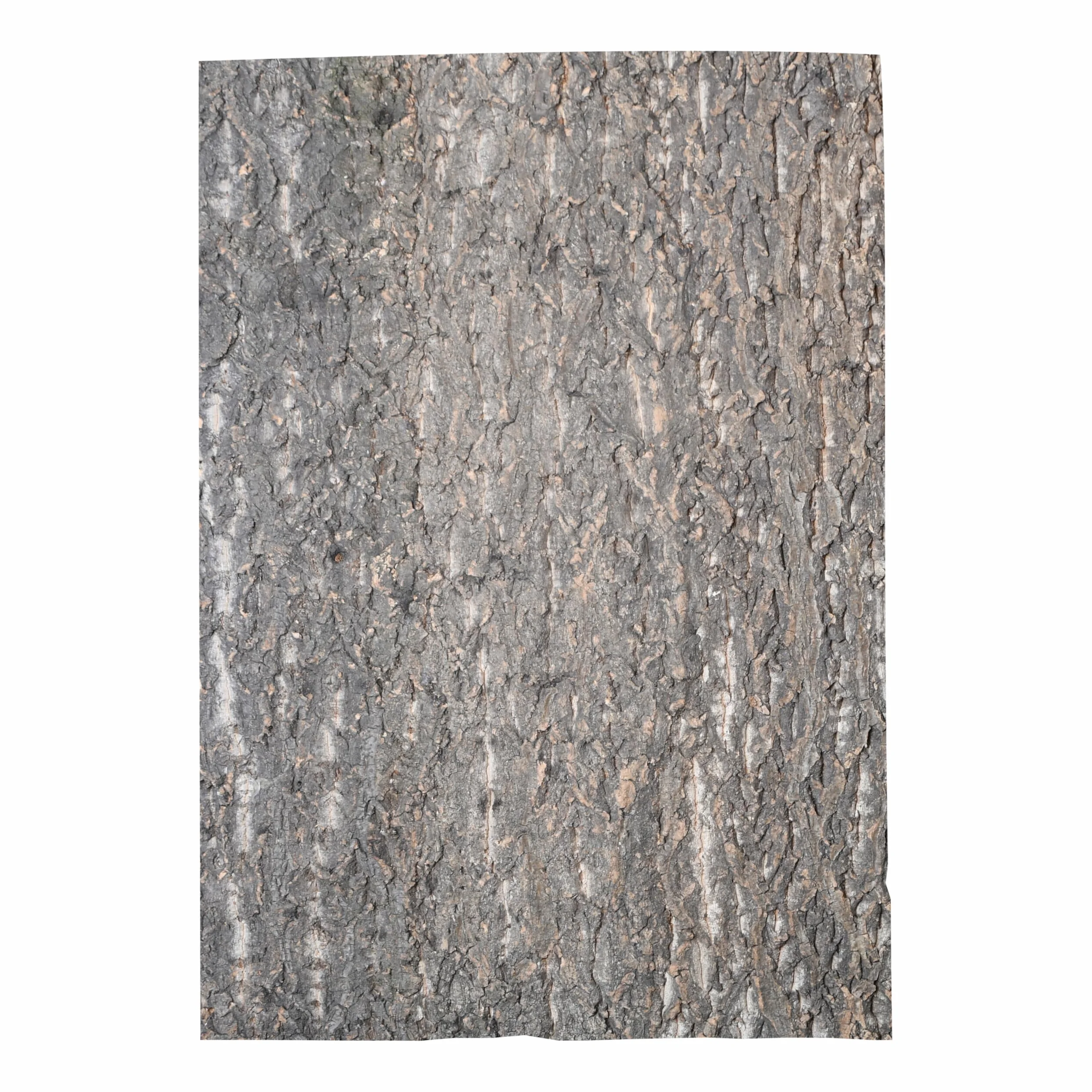 Lucky Reptile KBG-6 Korkrückwand Grob Naturrückwand für Terrarien, 60 x 30 cm