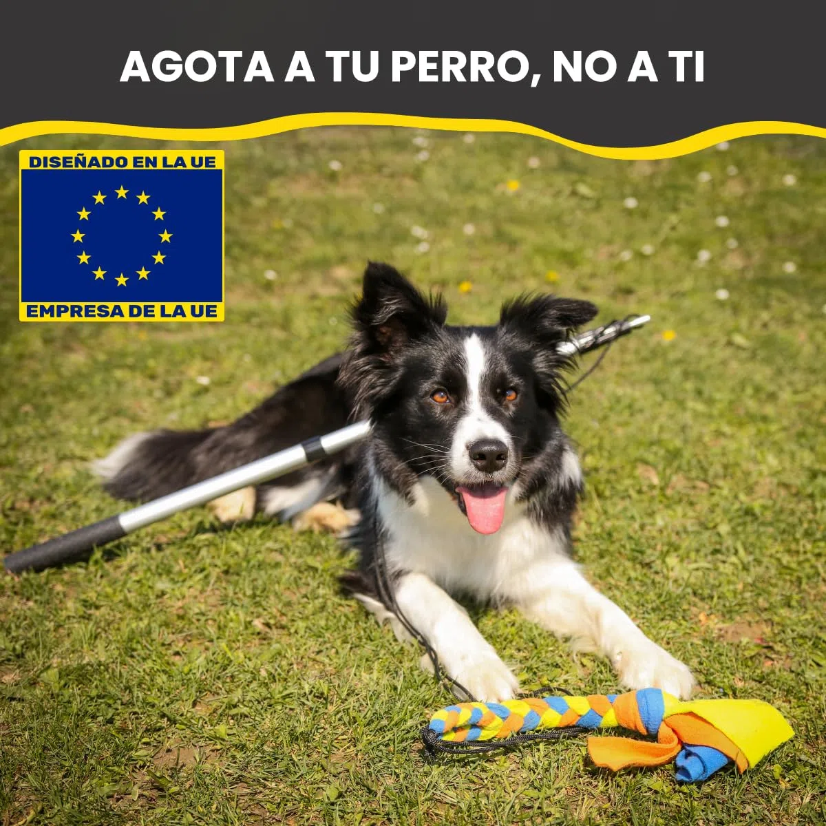 Poste de coqueteo para Perros con cordón no elástico Seguro y Fuerte, señuelo telescópico para Perros de Cualquier tamaño, Juguete para Perros para Entrenamiento y Ejercicio de Yes4Quality