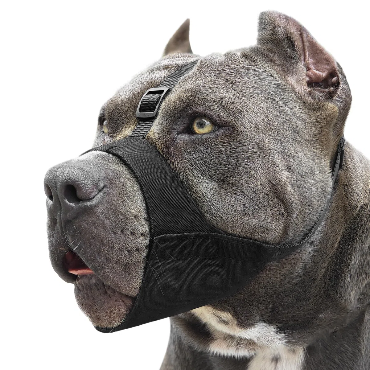 Mayerzon - Bozal Suave para Perros con Correa Antideslizante, para Pitbull, American Bully, bóxer, Rottweiler, Protector para hocico Corto, Mediano y Largo, Evita morder y Masticar, Permite Beber
