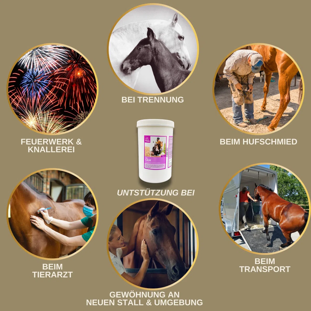 Magnesio Caballo 1Kg Calm Relax Polvo con Magnesio Vitamina E I contra la Ansiedad y el Estrés I Nervios Calmantes Caballo Nerviosismo y Reducción del Estrés para el Transporte de Caballos Nerviosos