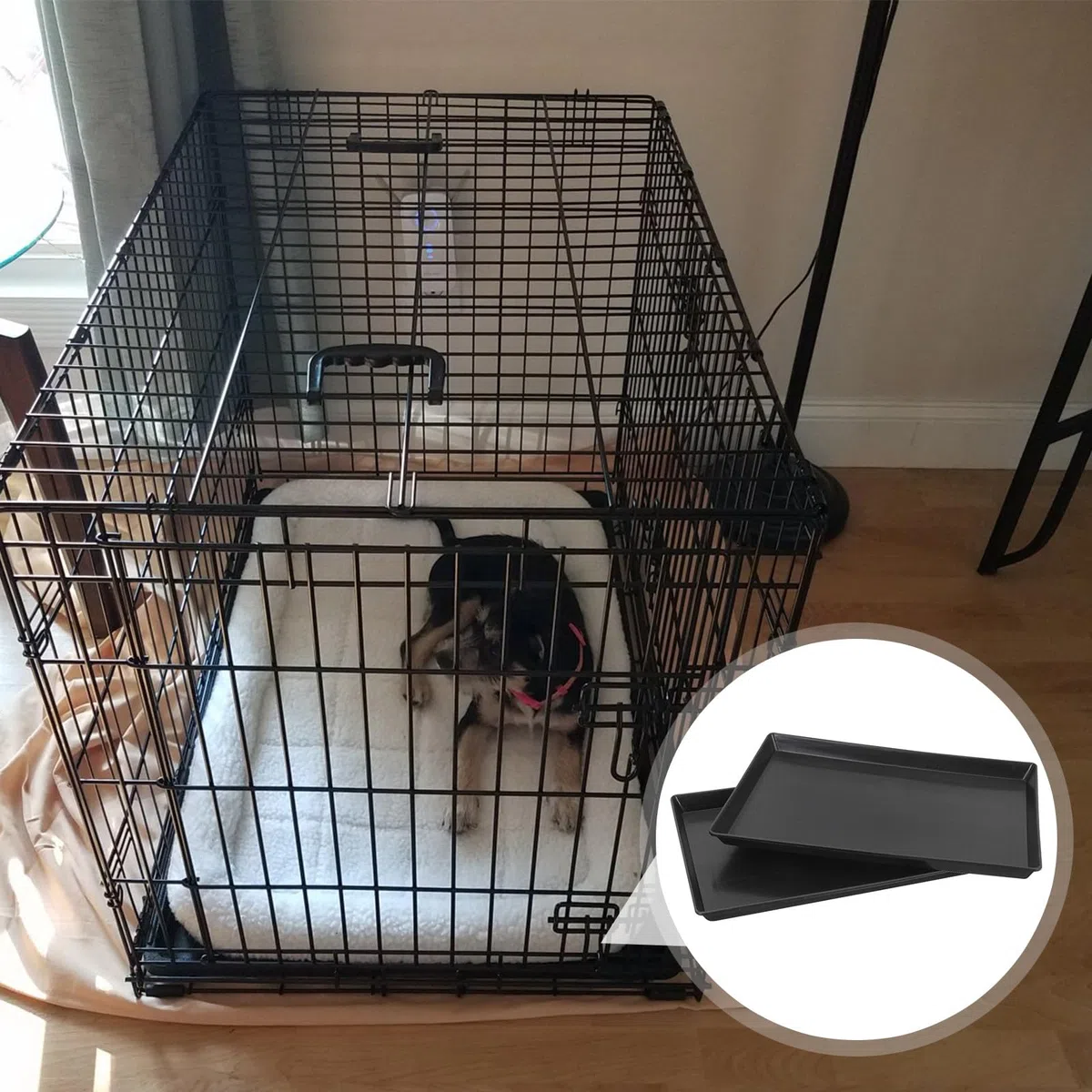 2 bandejas para jaulas de Mascotas: Base de plástico para jaulas de Perros y Conejos - Bandeja Plana de plástico de 45 x 30 cm - Revestimiento antiderrames para la recolección de