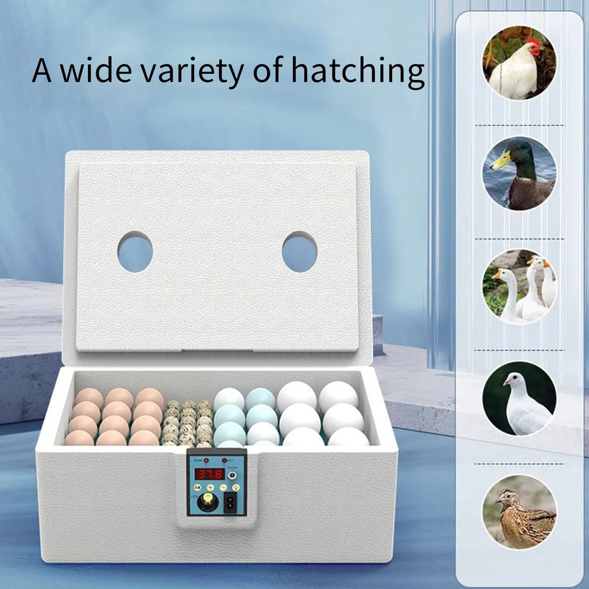 incubadora Huevos gallina, 29x26x17cm incubadora de Huevos para 10-25 Huevos, Carga USB Semi incubadora a, pequeña criadora avícola Inteligente con volteo automático para cría y eclosión
