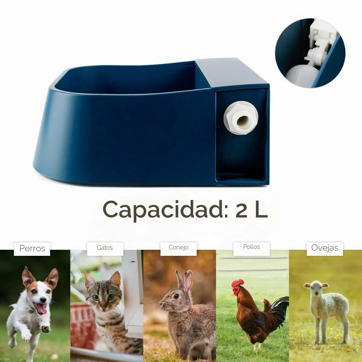 Namsan Bebedero flotante para mascotas automático para perros, gatos, gallinas, patos, caballos, ovejas