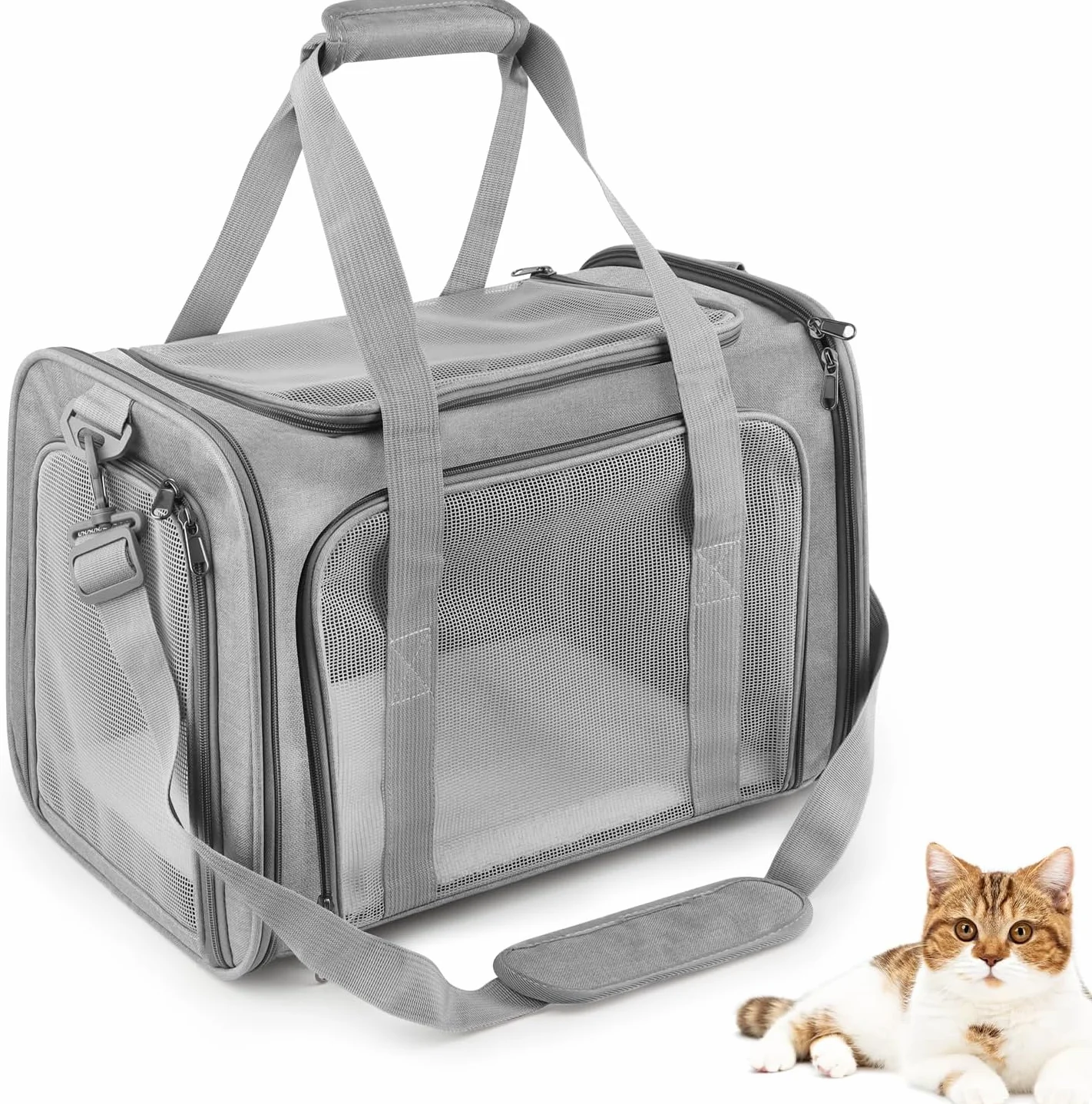 Transportin Gato Grande, 45x30x30 cm Transportin Perro Pequeño Transpirable Plegable, Transportin para Gatos con Correa al Hombro y Colchón Suave, para Coche/Avión, Autoreisbox für Katze