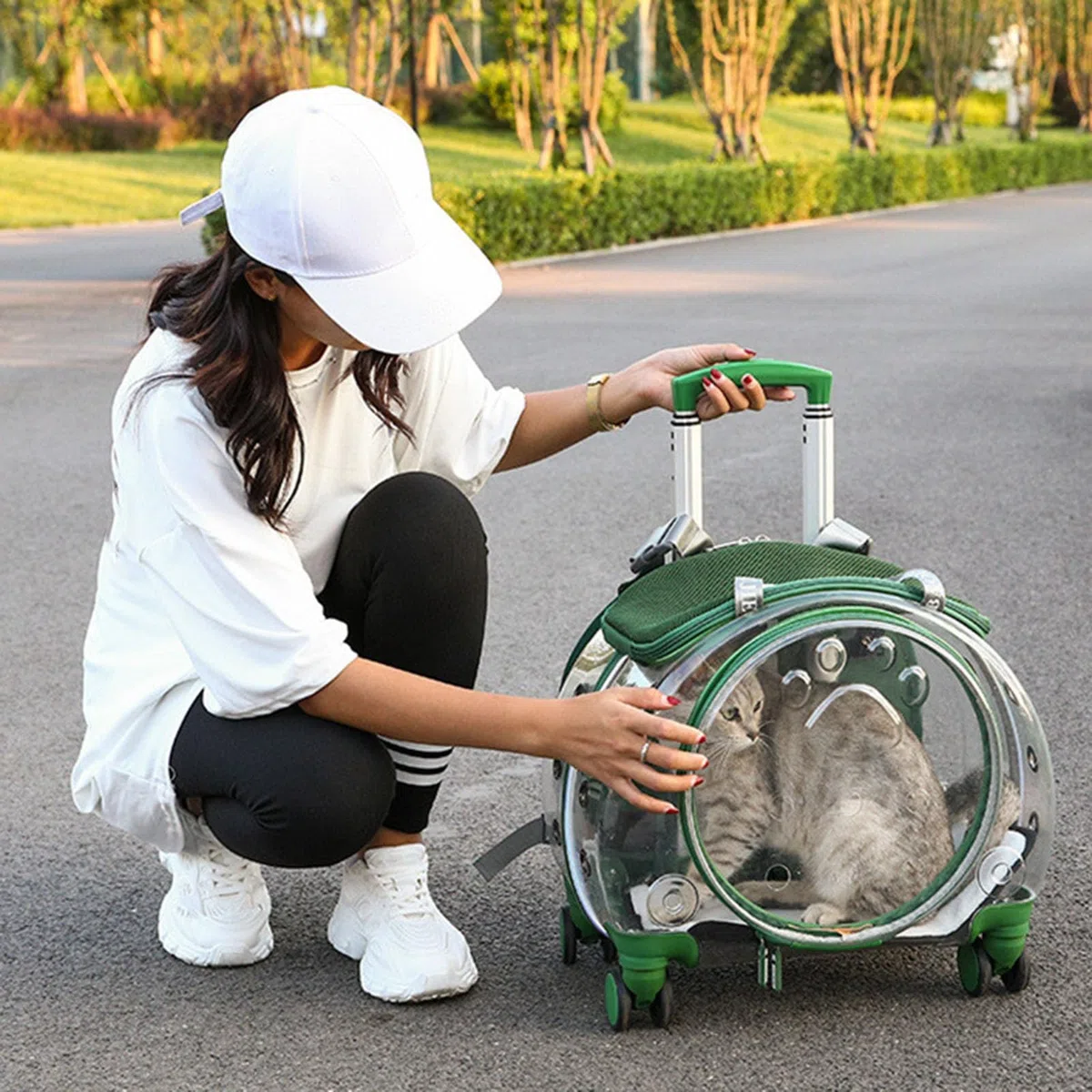 Transportador para gatos con ruedas, transportador transparente de burbujas para gatos, mochila para mascotas para gatitos, perros pequeños, agujeros de ventilación transparentes, ruedas