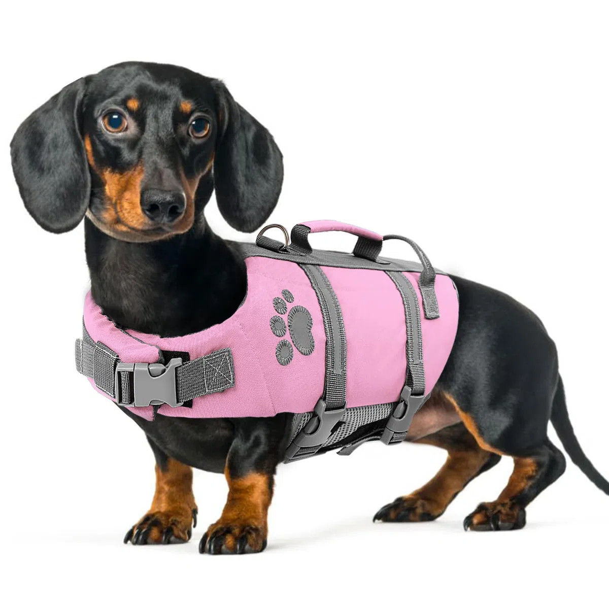 Queenmore Chaleco Salvavidas Perro XS, Ligero, Flotador Perro con Asa De Rescate, para Perros Pequeños, Piscina Piscina Nadar, Kayak, Paddleboarding, Rosa, XS