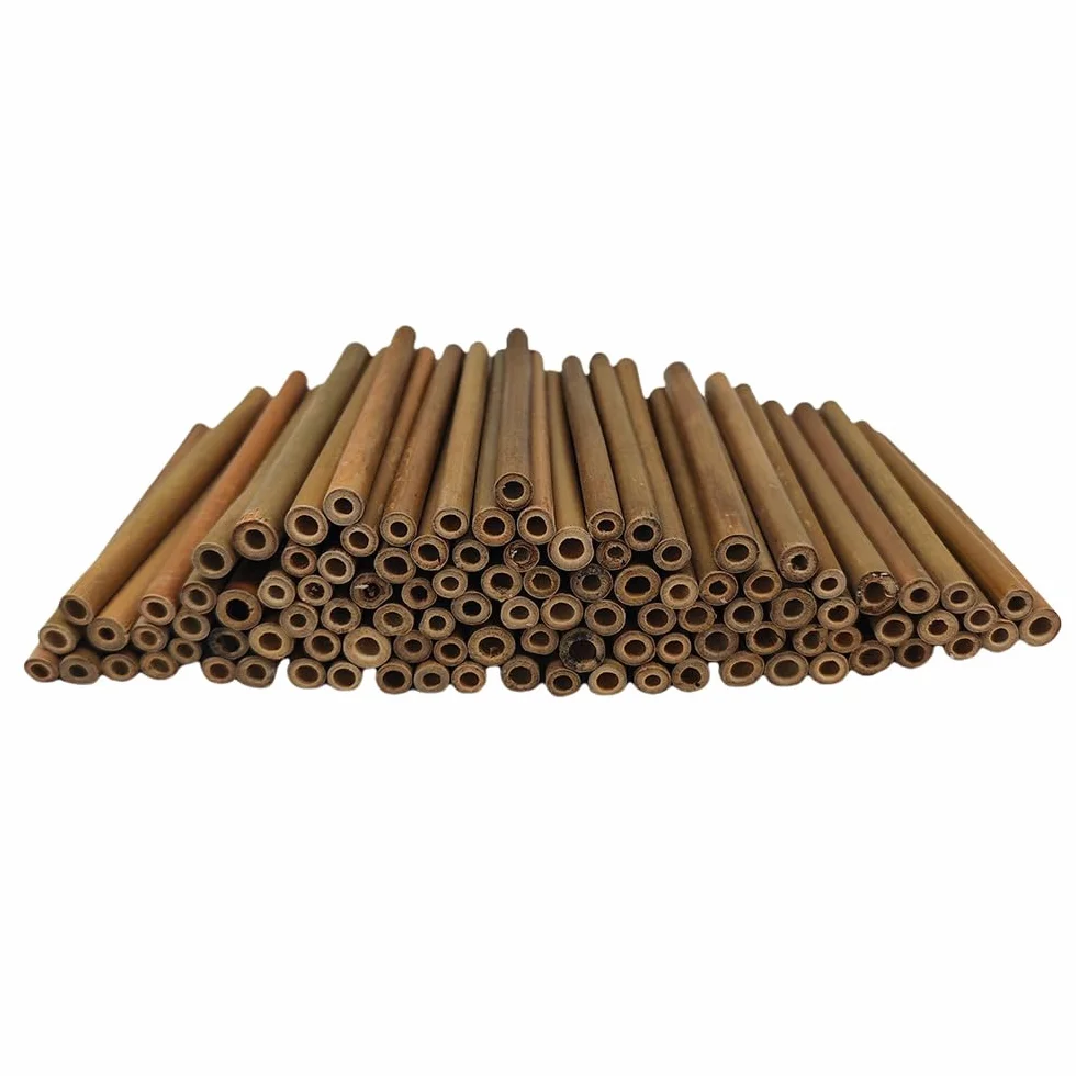 Material de relleno de tubos de hotel para insectos, 100 unidades, tubo de bambú natural de 15 cm de longitud, accesorios de casa de abeja, respetuoso con el medio ambiente en el jardín