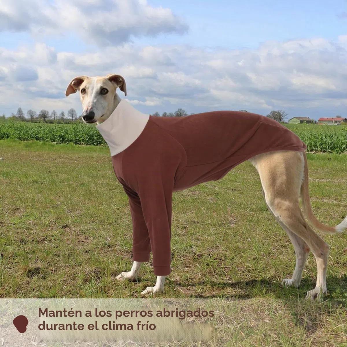 Jersey de forro polar para perros de galgo, suéter mediano para Whippets, pijama de galgo, camisa de lurcher, pijama de forro polar para perros (marrón, M)