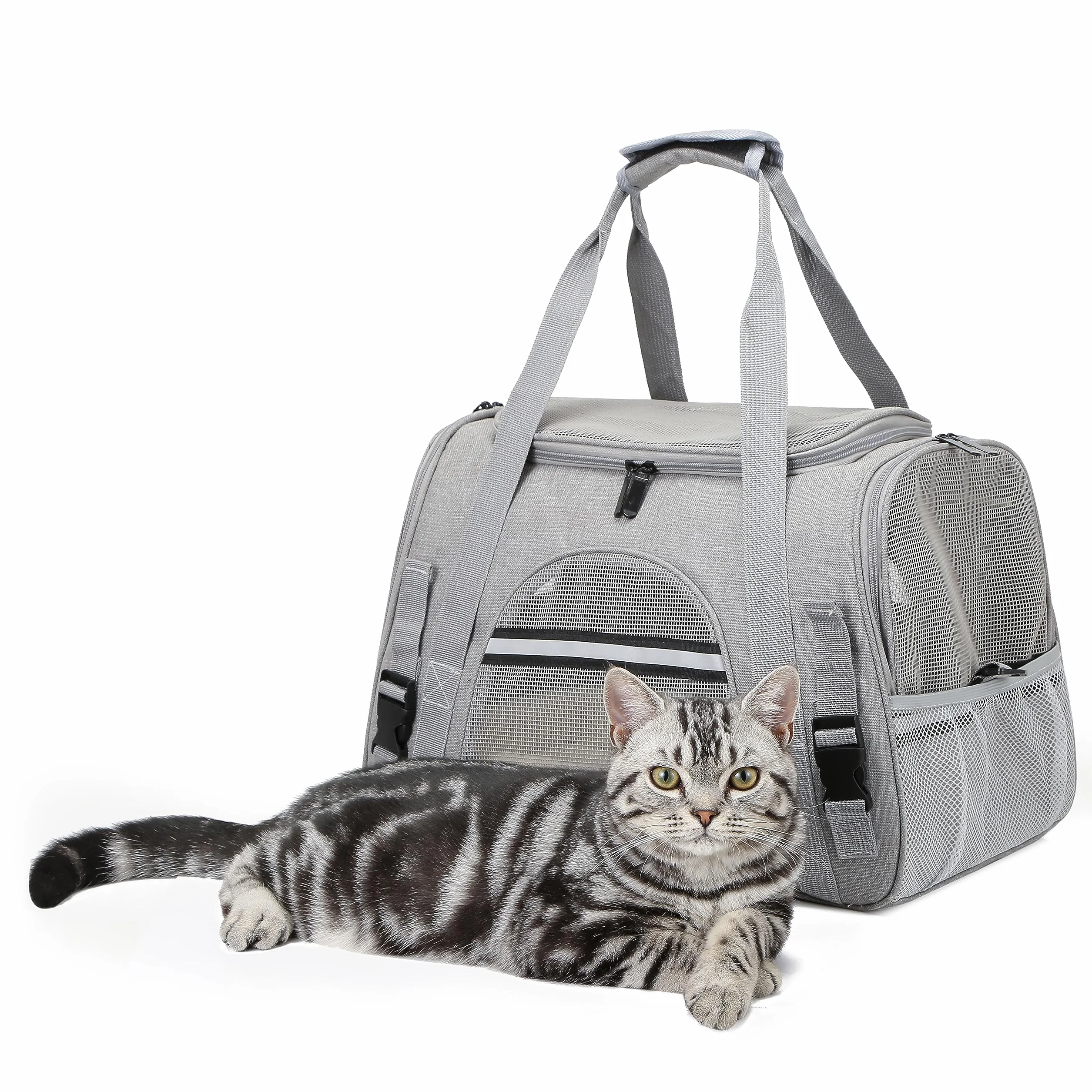 Transportín Gato Perro, Bolsa de Transporte Plegable para Mascota de Viaje Portátil y Transpirable con Correa Interior de Seguridad