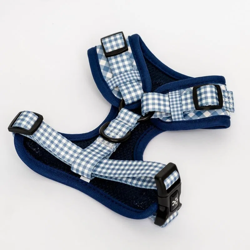 Arnés M Vaquero para Perro Ajustable de Neopreno - Diseño Vichy - 4 Tallas - Arnés Cómodo y Resistente para Perros