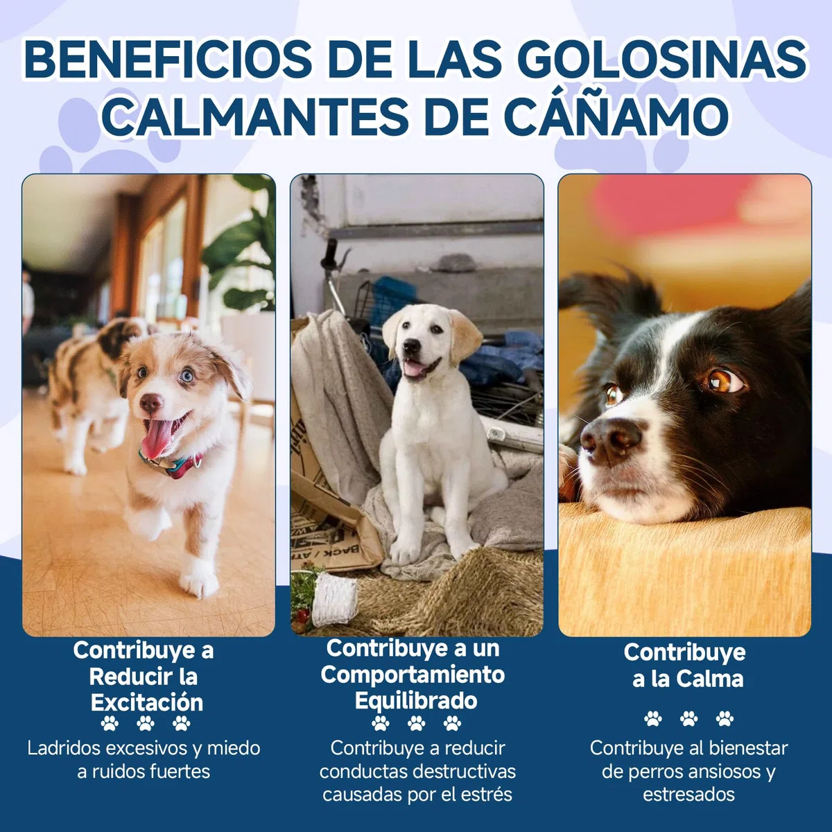 Golosinas Calmantes para Perros, 200 Naturales, Golosinas Tranquilizante para Perros para Apoyar la Calma, Ideales para Situacione de separación, Ladridos, Fuegos Artificiales y Tormentas, Sabor Pollo