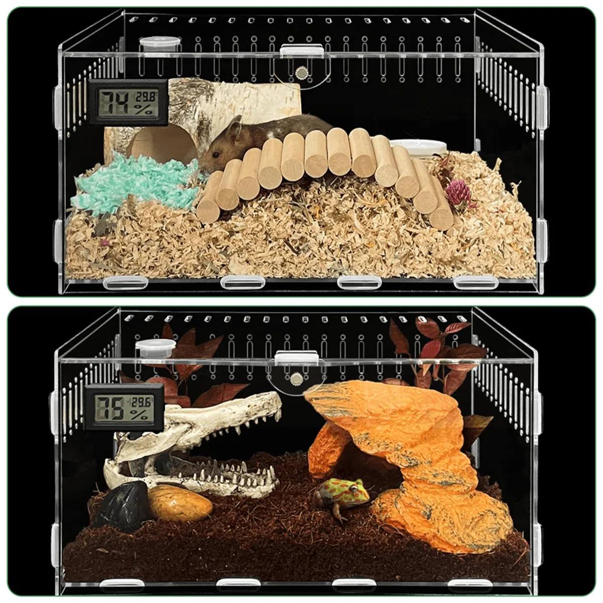 Terrario Acrílico para Caracoles - Alimentador para Reptiles 30x20x15 cm, Contenedor Acrílico Transparente para Caracoles y Arañas