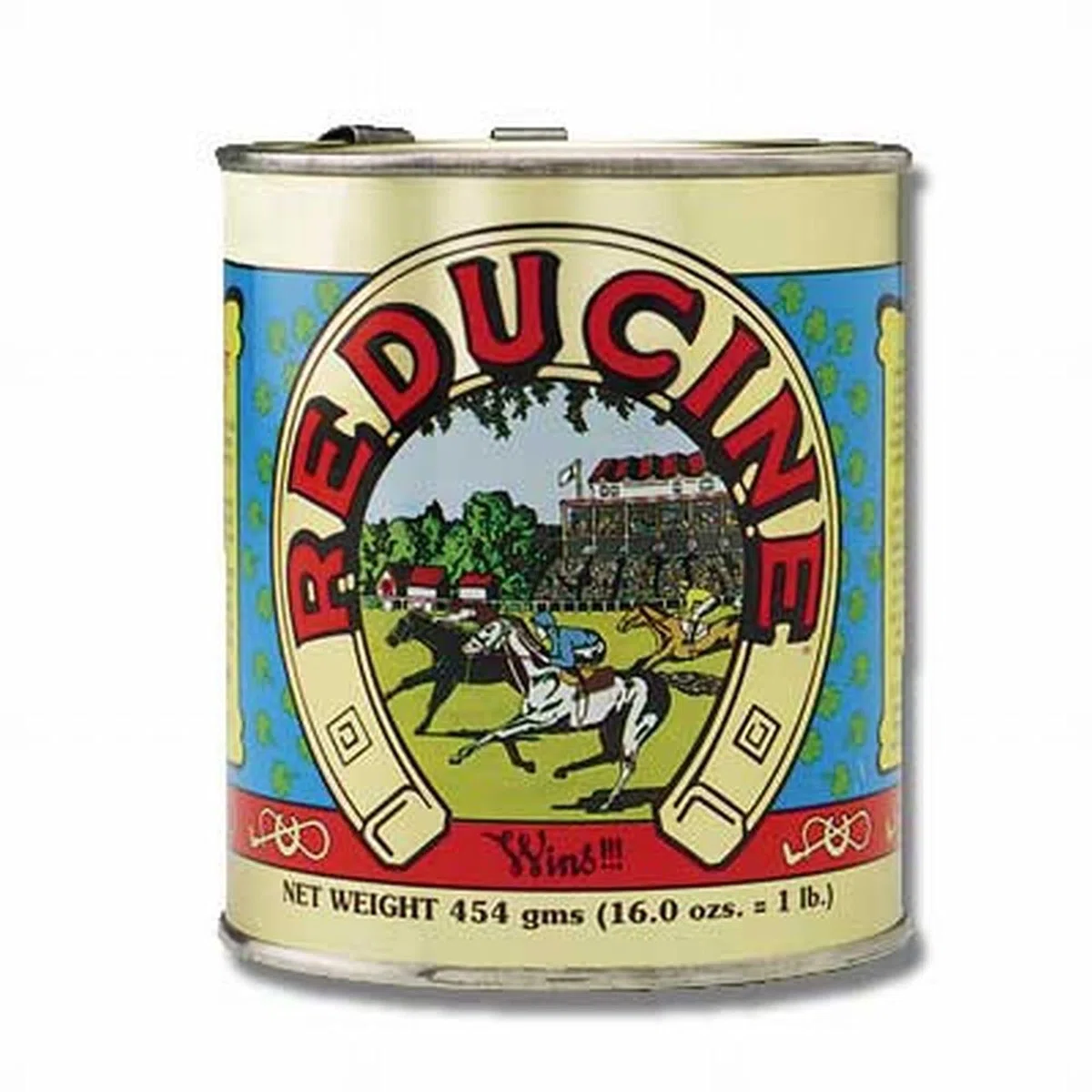 Reducine Absorbent 16 oz Can | Topical Stiffness/Soreness Relief for Horses