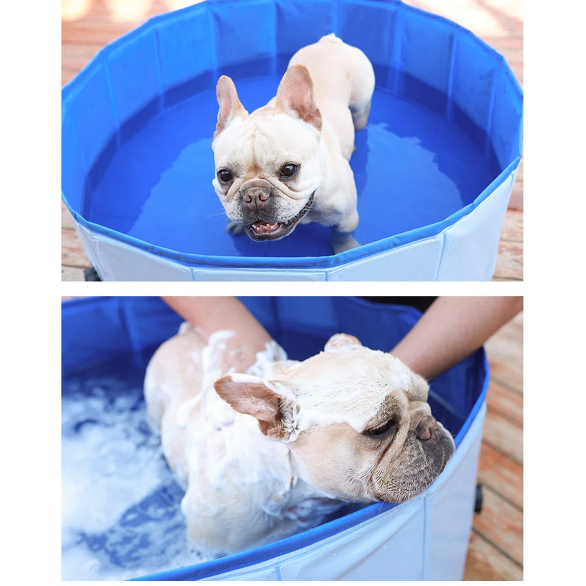 Jsdoin,Piscina plegable para perros, piscina portátil para niños, piscina de baño para mascotas, bañera para perros y gatos para jardín, patio y baño (80x20 cm)