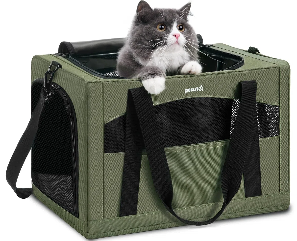 Pecute Transportin Gato, Transpirable Y Portátil Transportin Perro, para Gatos de Menos de 5 Kg, Ideal para Viajes Y Salidas​, Verde Militar