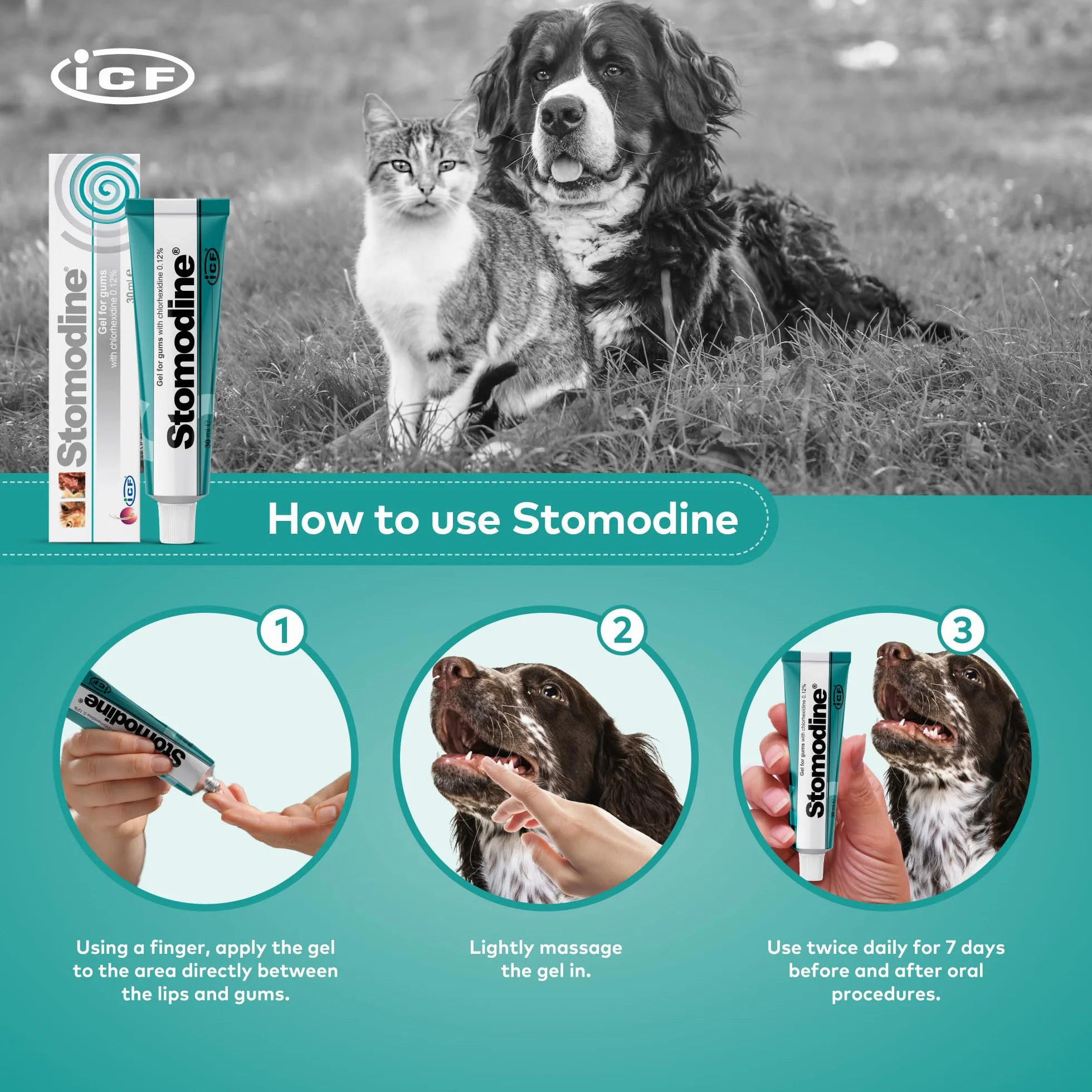 Fatro Stomodine Pasta Dental Antisarro para Perros y Gatos - 30 gr