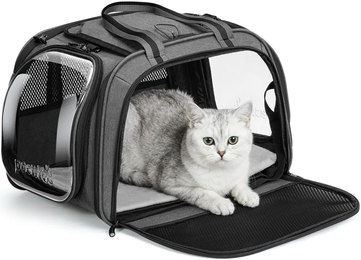 pecute Transportín Gato Grande, Coche Cero Ansiedad | Bolsa de Transporte Estructura de Acero Antideformación de 5mm, Persiana Enrollable de Privacidad, Ventana de Burbuja, Talla M, Gris